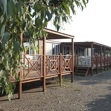 Hotel New Le Tamerici Cecina (Livorno)